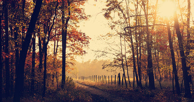 10 Mindful Ways To Embrace Autumn