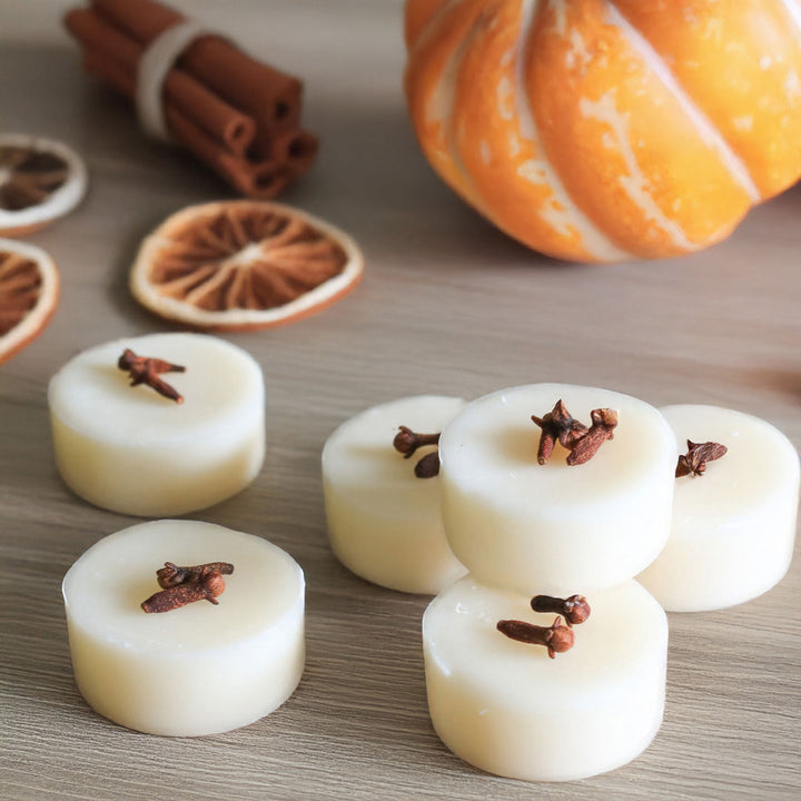 Toasted Spice Natural Soy Wax Melts