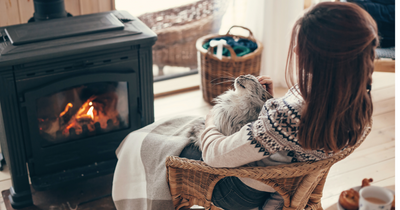 Everyday Happiness: How to Thrive in the Cosiest Season