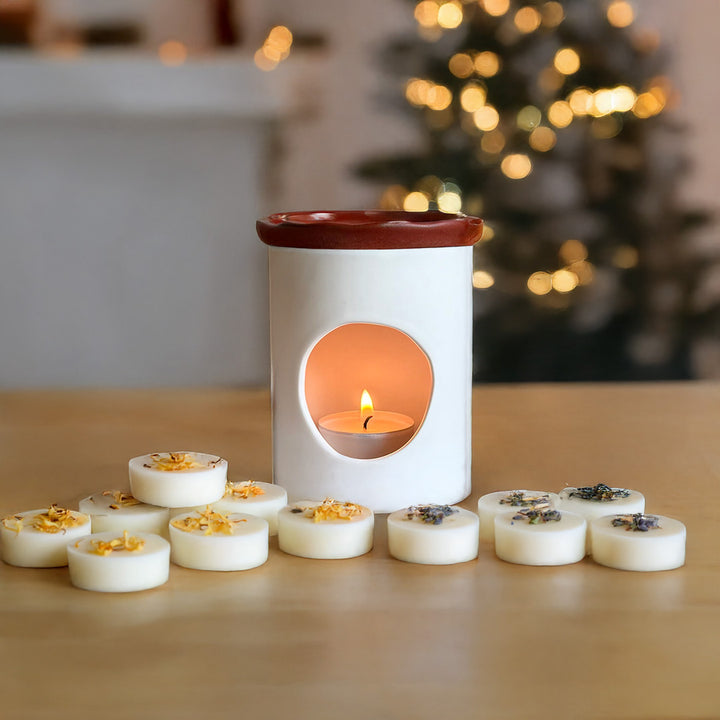 Natural Soy Wax Melts Starter Collection