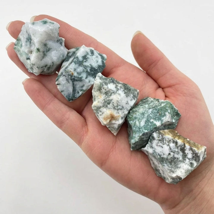 Tree Agate Raw Crystal